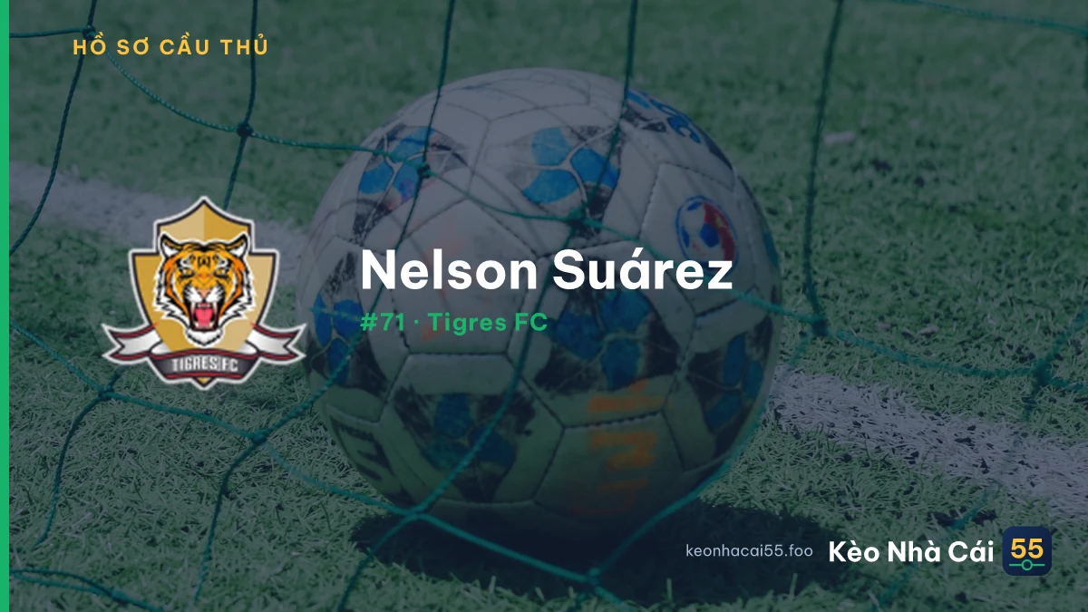 N. Suárez