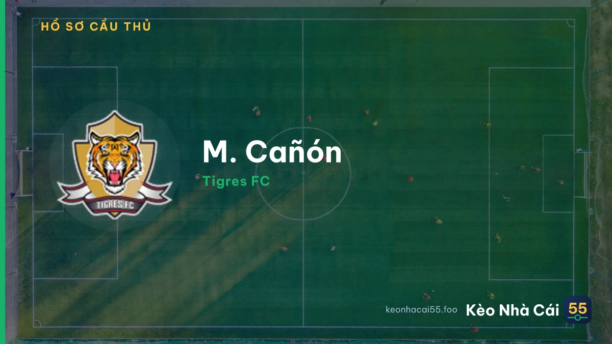 M. Cañón