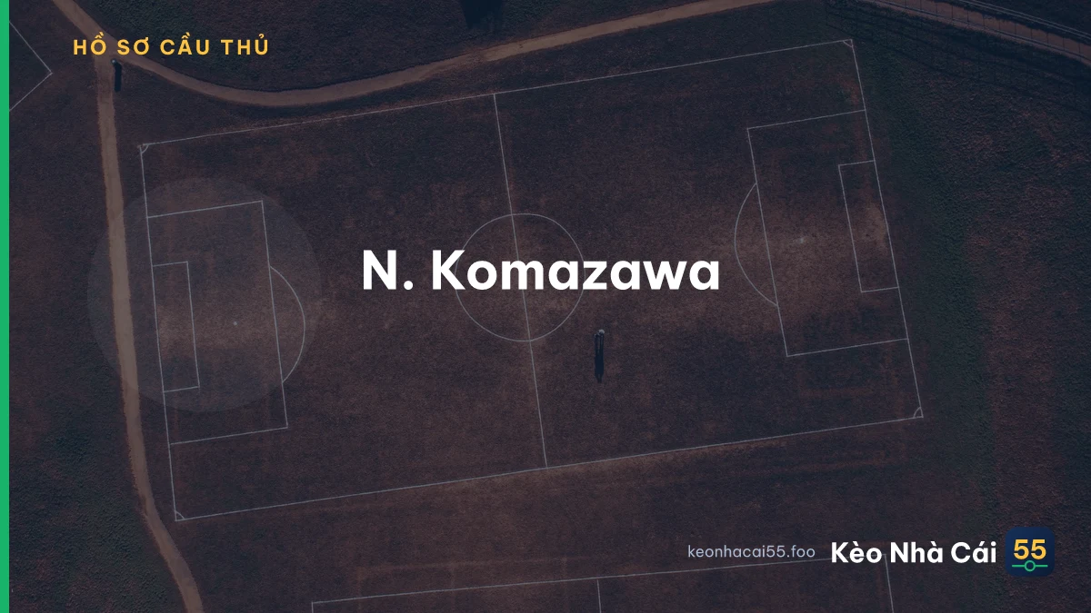 N. Komazawa