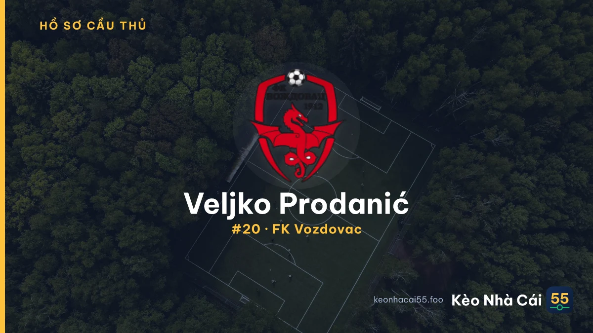 Veljko Prodanić — FK Vozdovac
