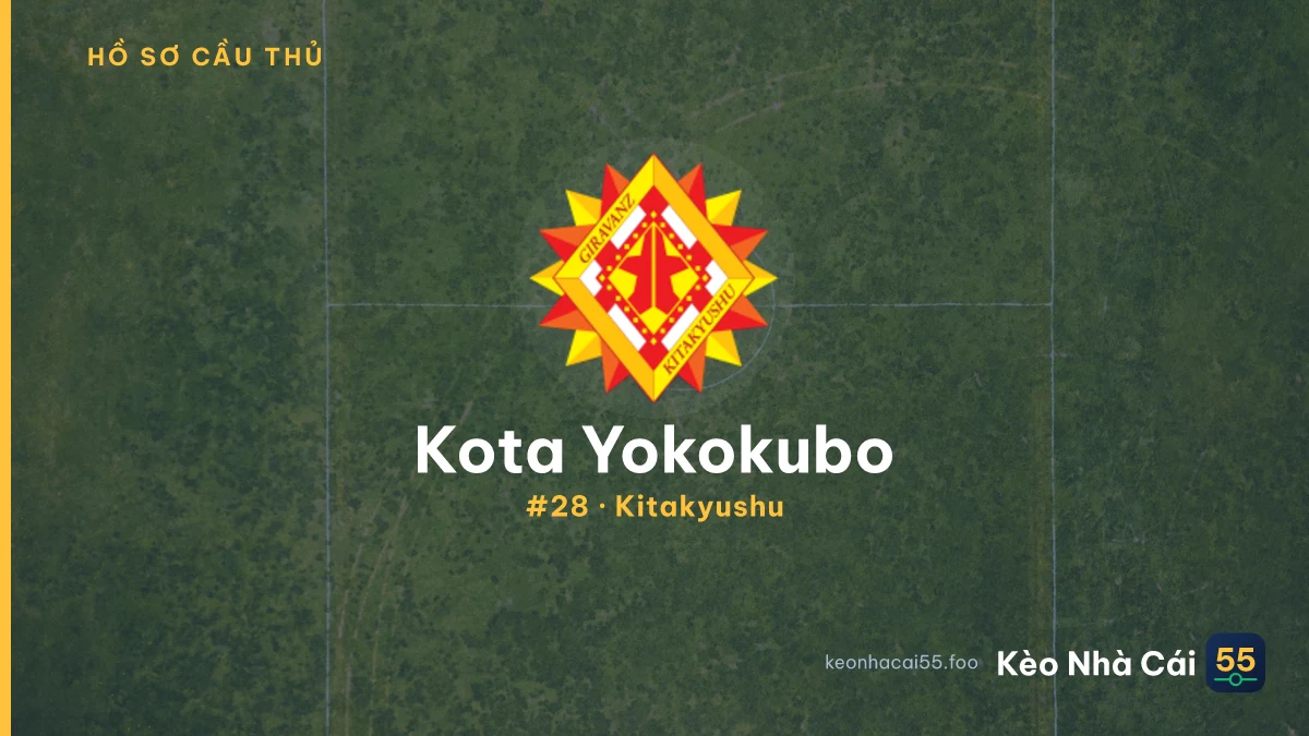 K. Yokokubo