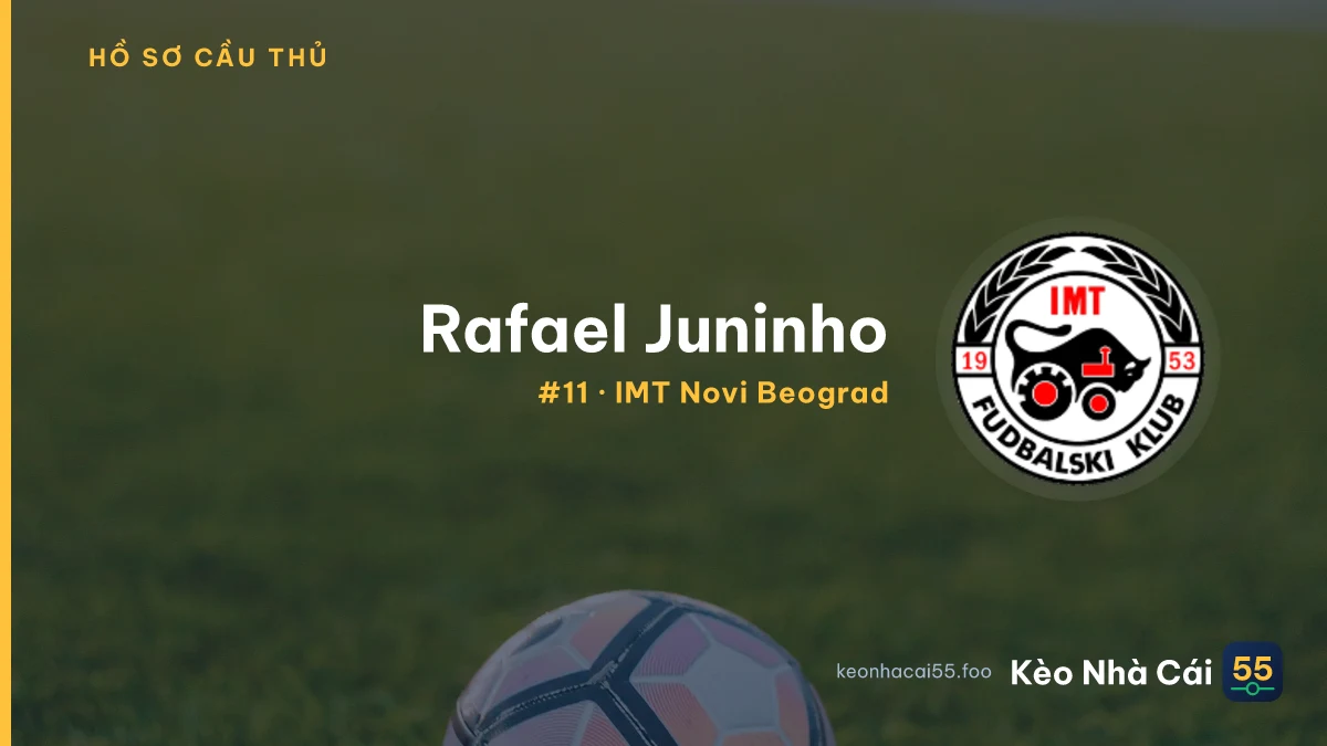 Rafael Juninho — IMT Novi Beograd