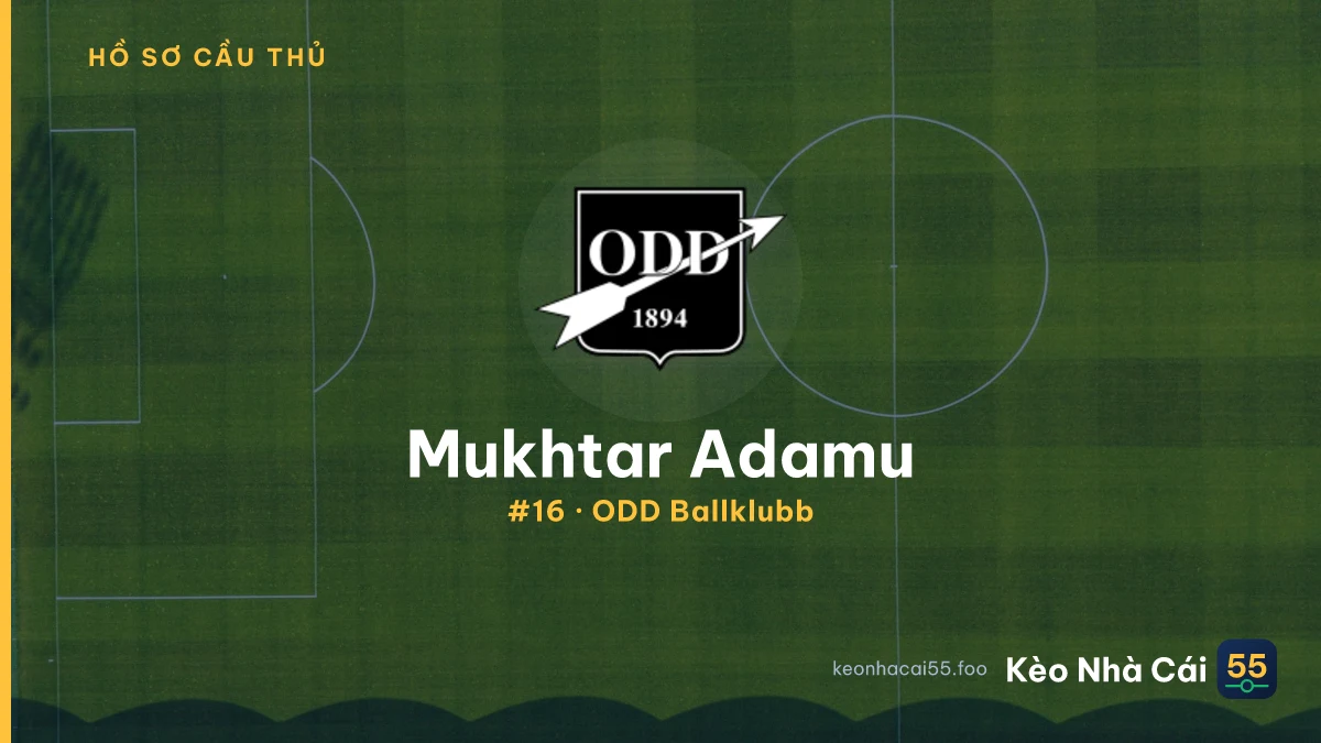 M. Adamu