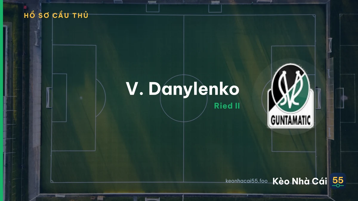 V. Danylenko