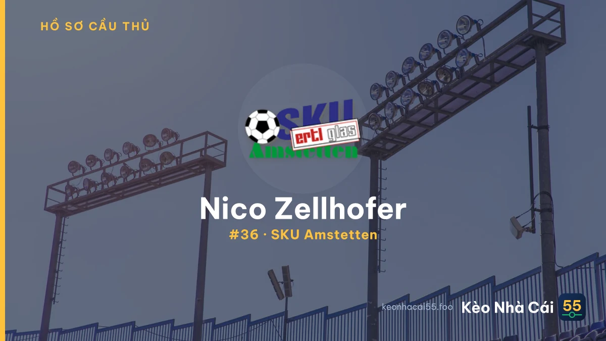 Nico Zellhofer — SKU Amstetten