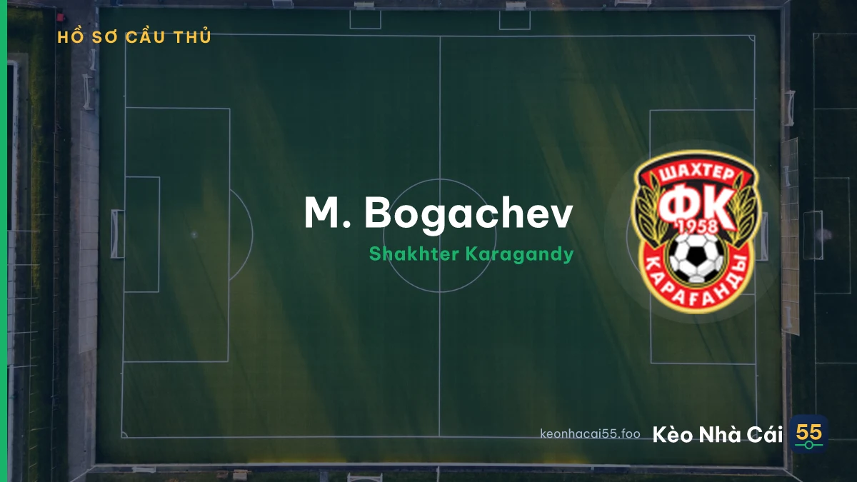 M. Bogachev