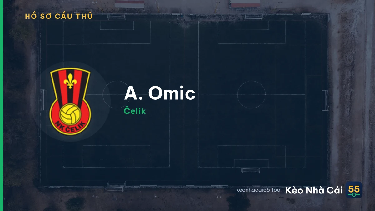 A. Omic