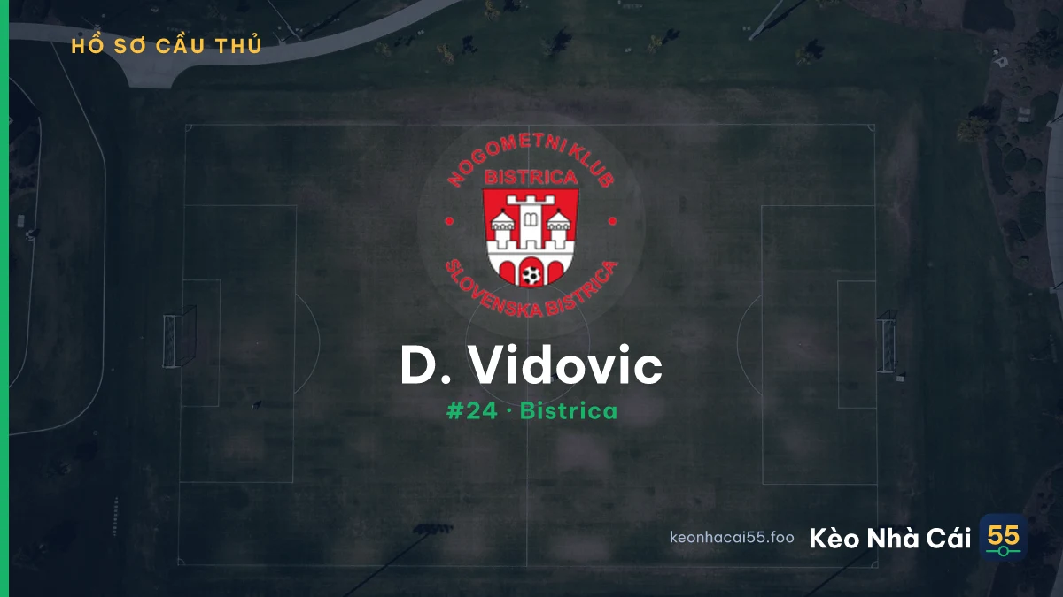 D. Vidovic — Bistrica
