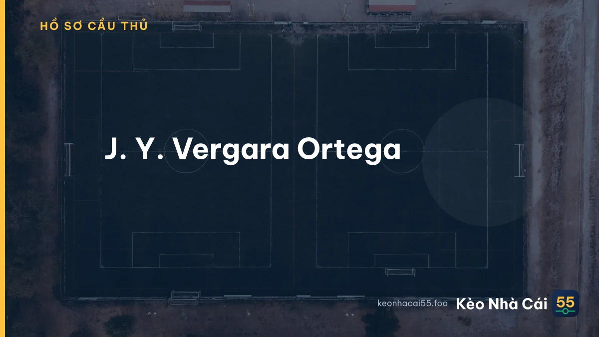 J. Y. Vergara Ortega