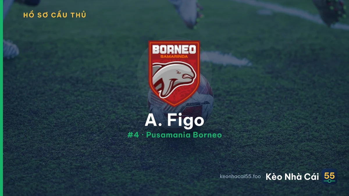 A. Figo — Pusamania Borneo