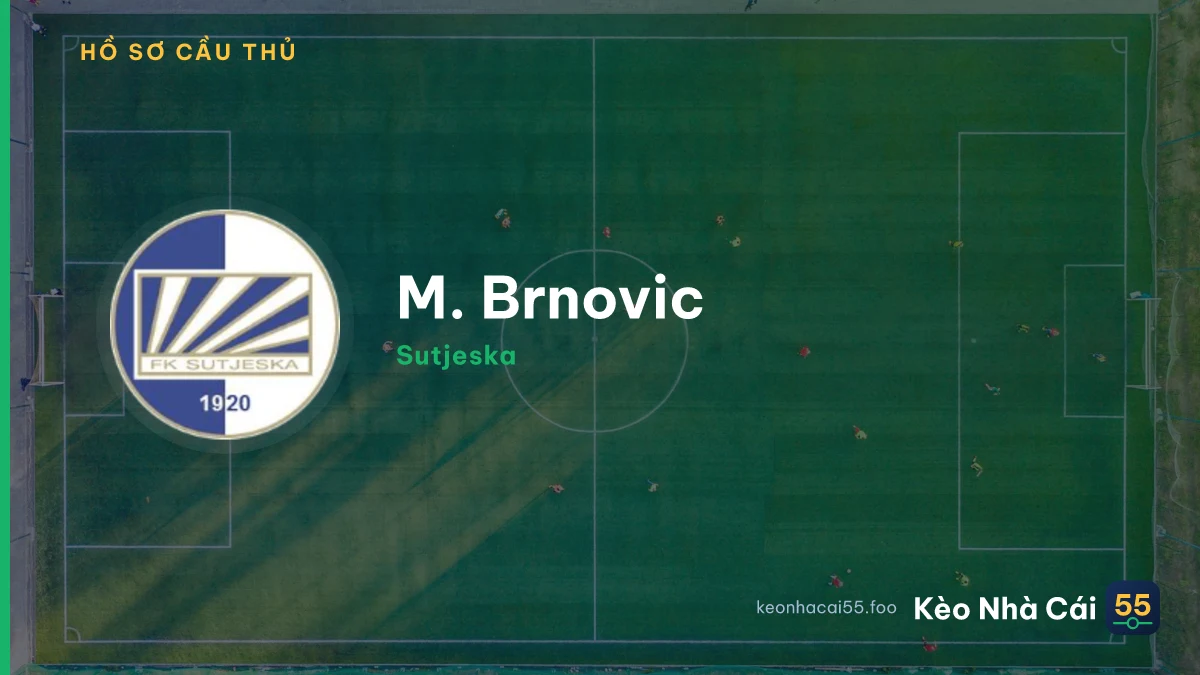 M. Brnovic