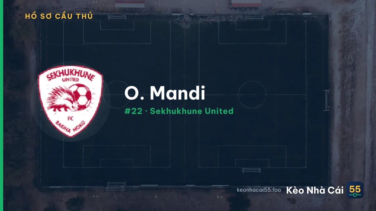 O. Mandi — Sekhukhune United