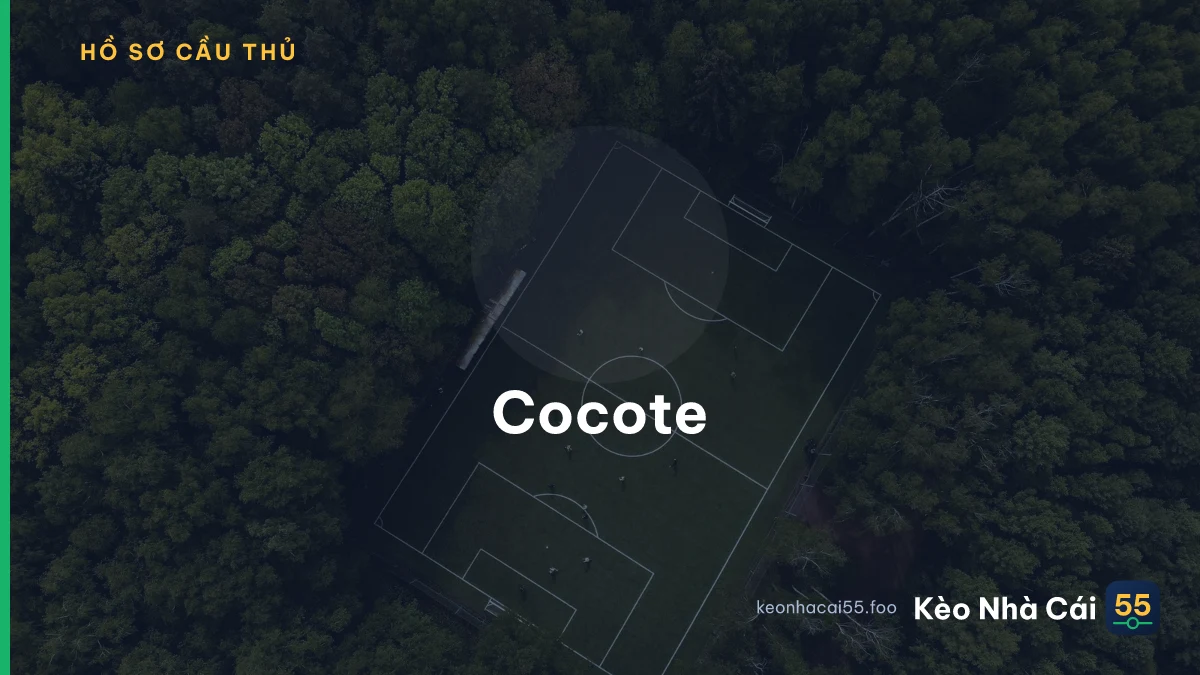 Cocote