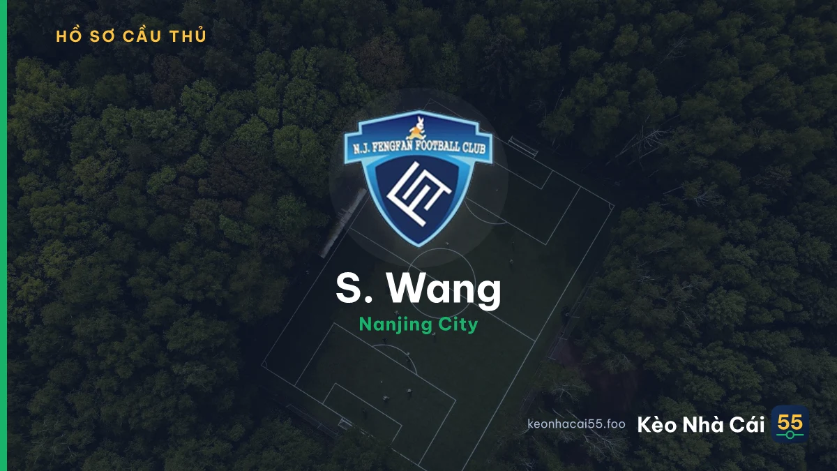 S. Wang — Nanjing City