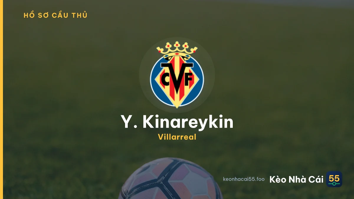 Y. Kinareykin