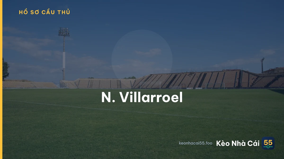 N. Villarroel