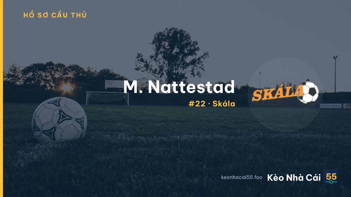 M. Nattestad — Skála