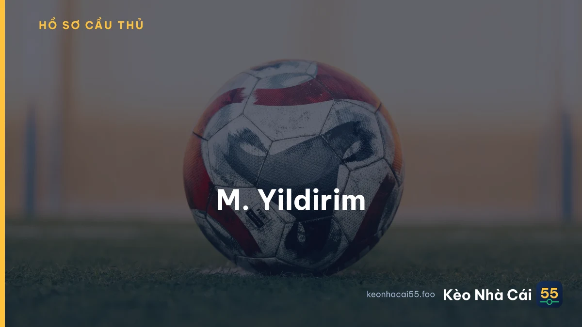 M. Yildirim