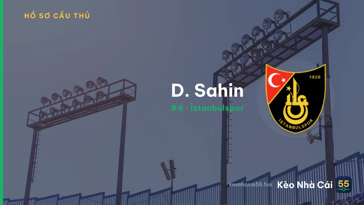 D. Sahin — İstanbulspor