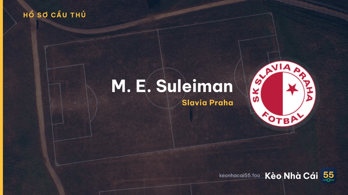 M. E. Suleiman