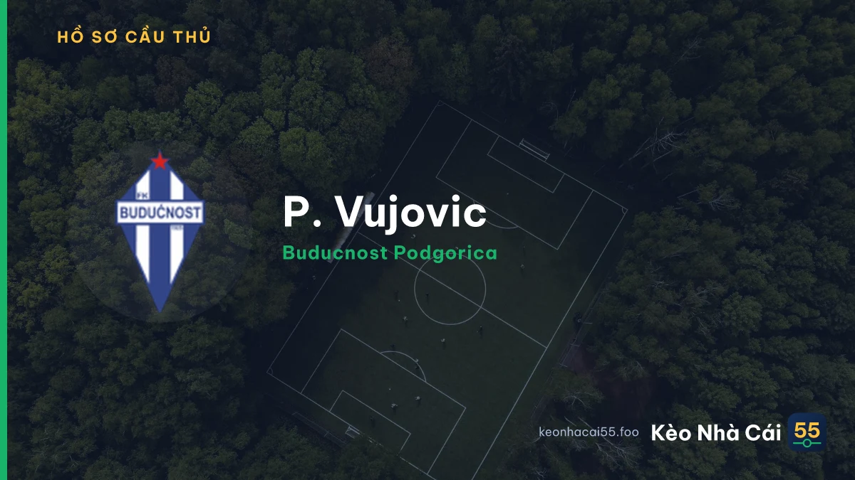 P. Vujovic