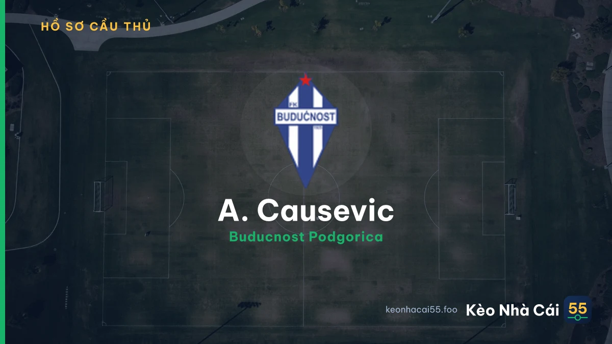 A. Causevic