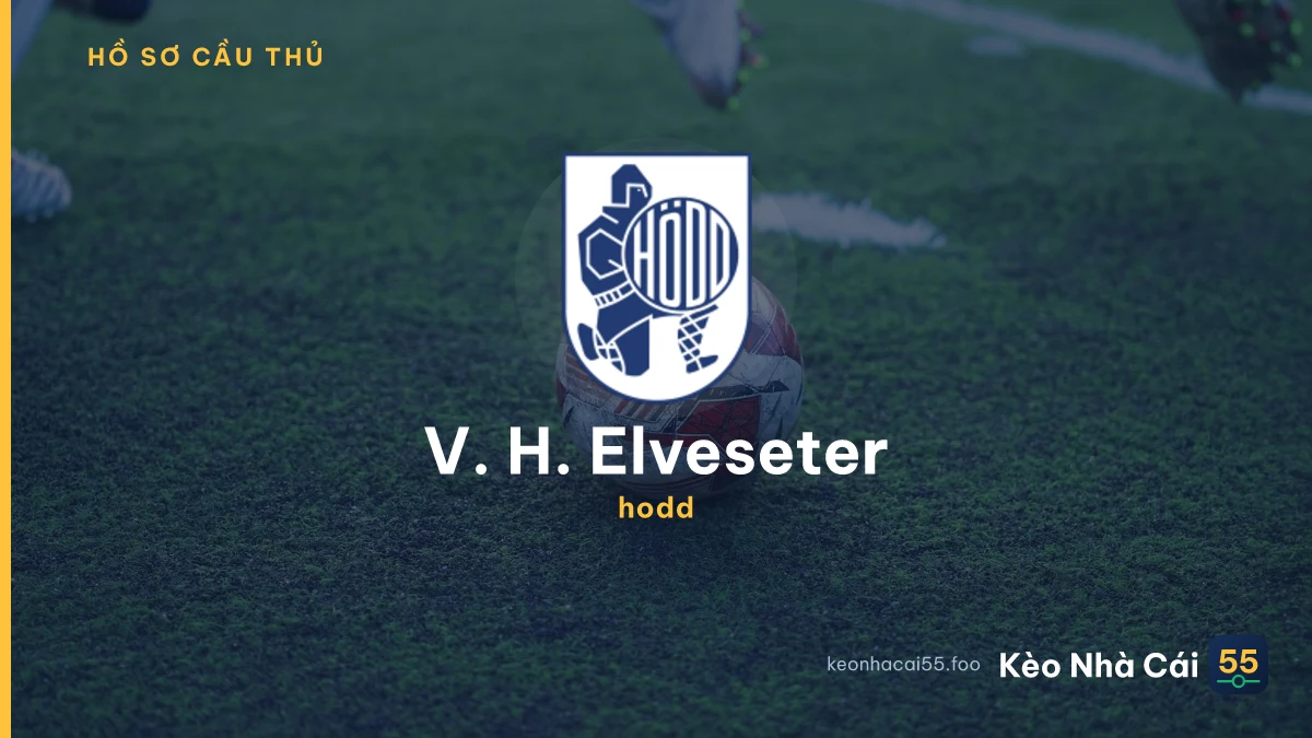 V. H. Elveseter — hodd