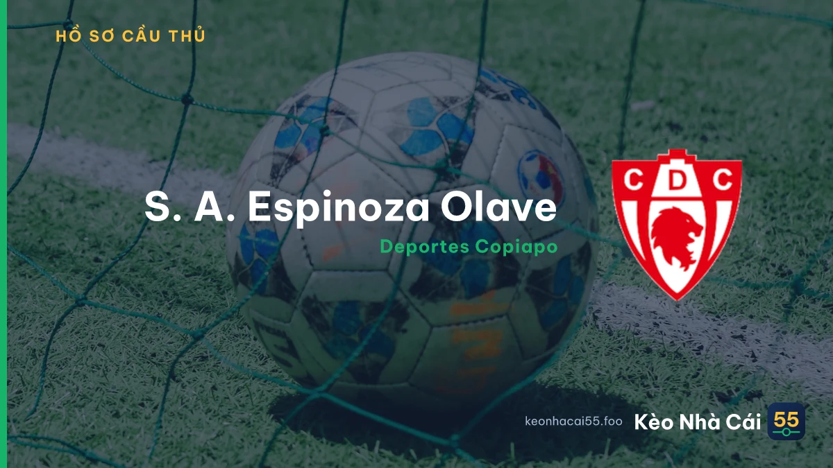 S. A. Espinoza Olave