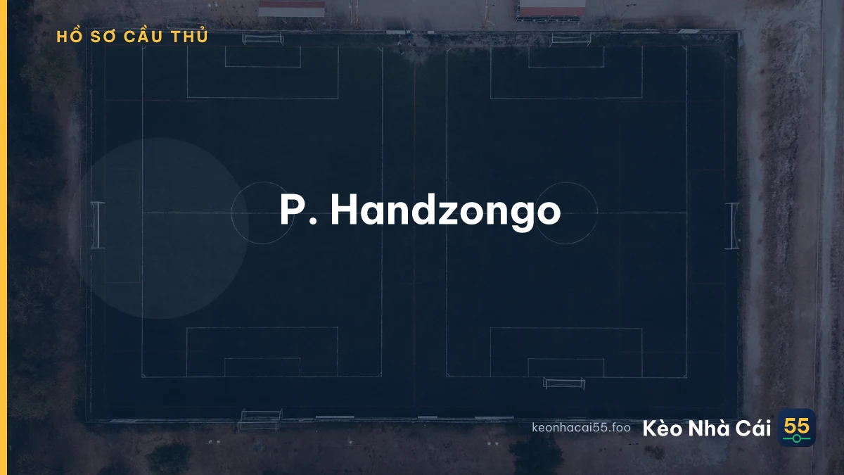 P. Handzongo