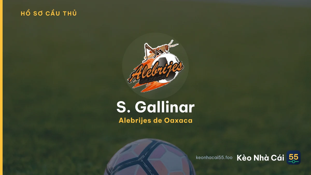 S. Gallinar