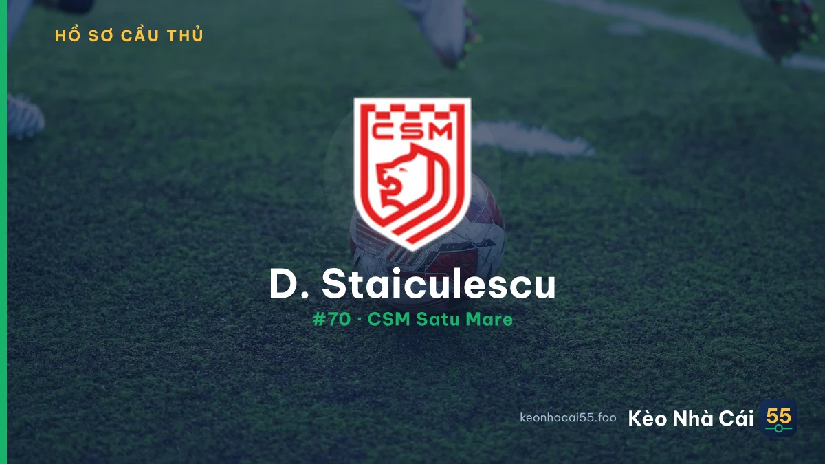 D. Staiculescu — CSM Satu Mare