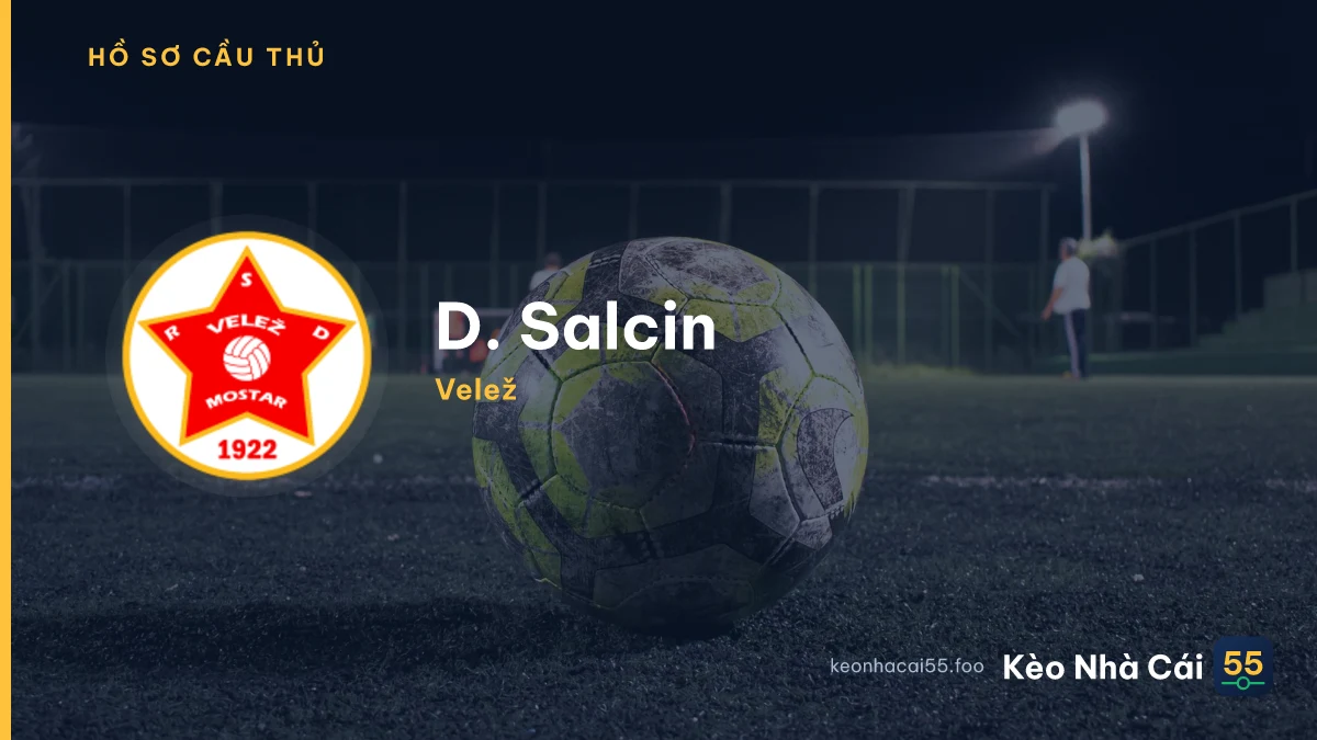 D. Salcin