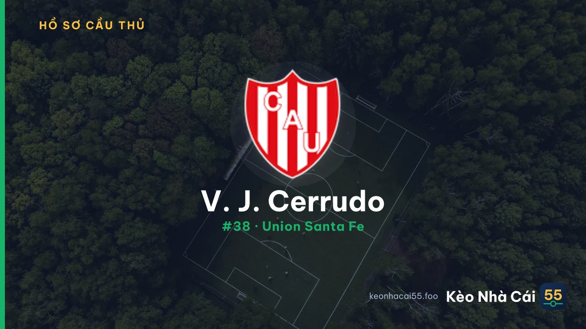 V. J. Cerrudo