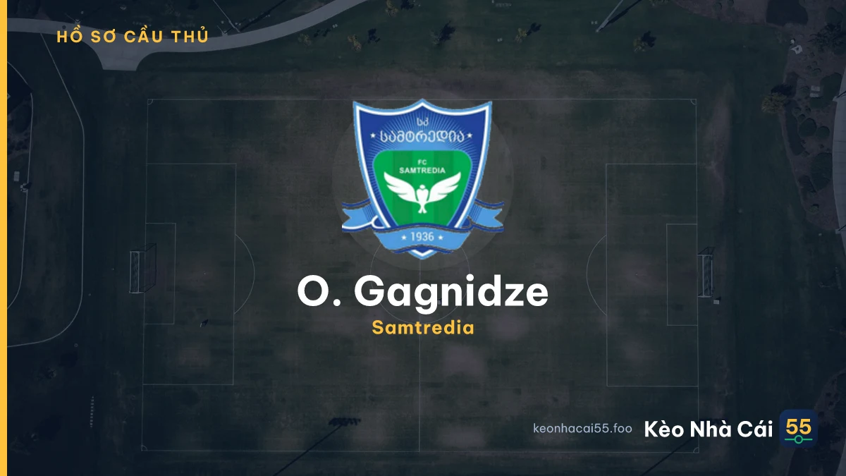O. Gagnidze
