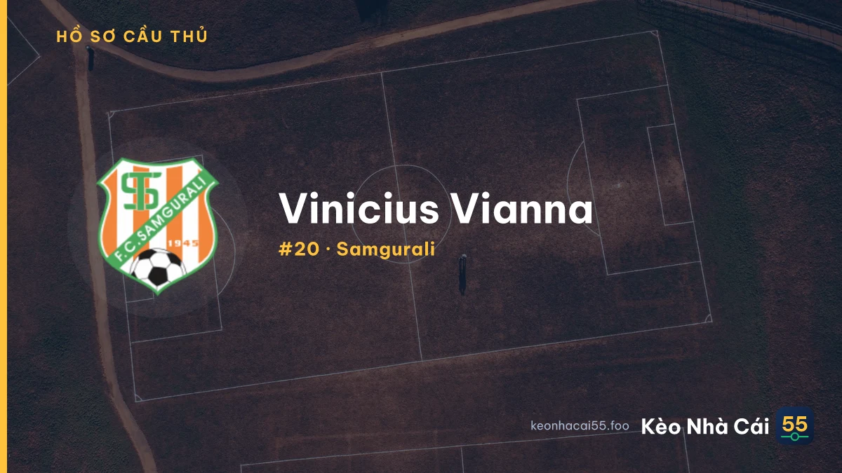 Vinicius Vianna