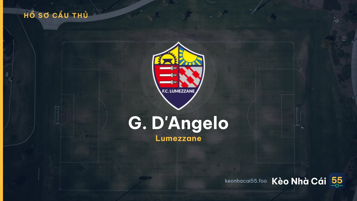 G. D'Angelo