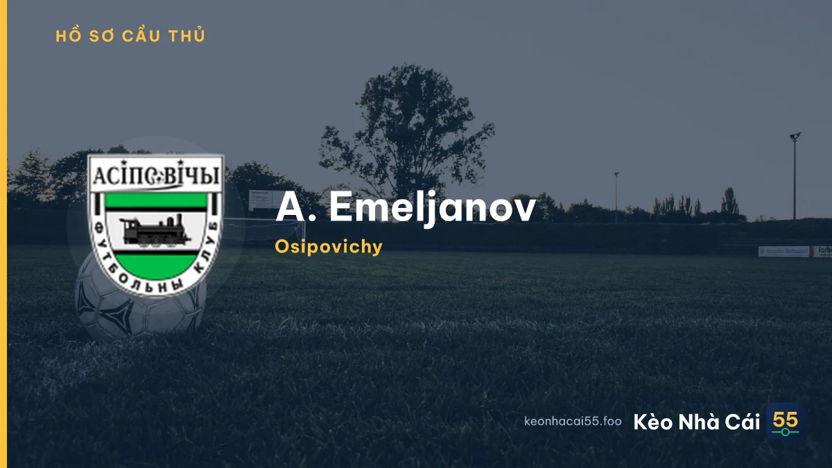 A. Emeljanov — Osipovichy