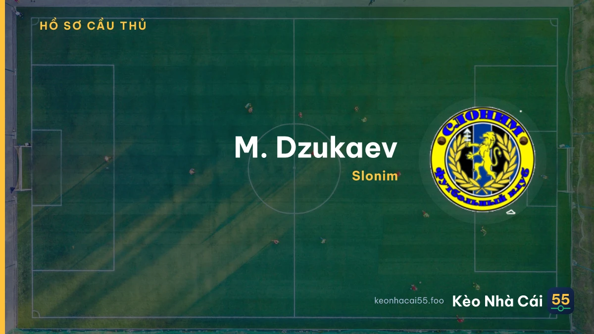 M. Dzukaev