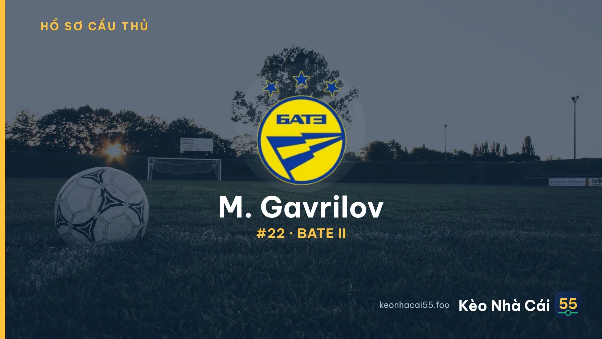 M. Gavrilov