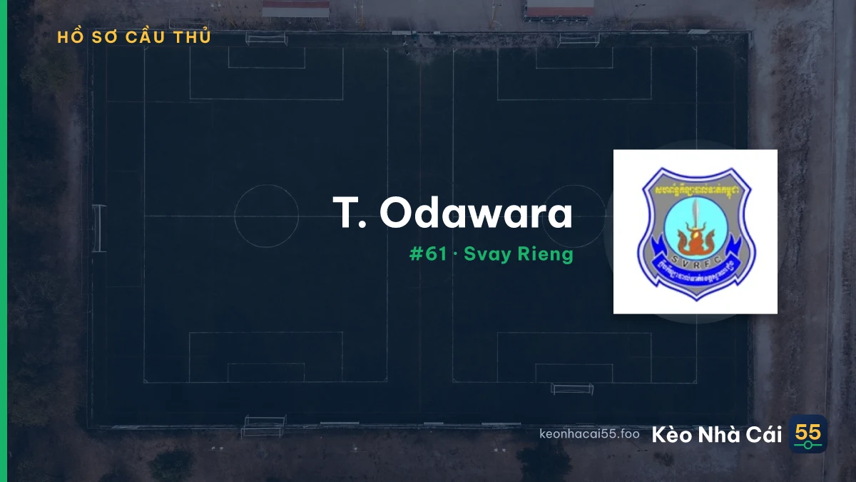T. Odawara