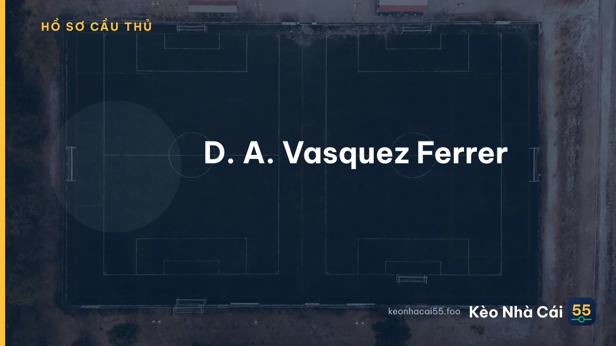 D. A. Vasquez Ferrer