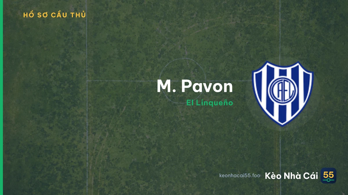 M. Pavon