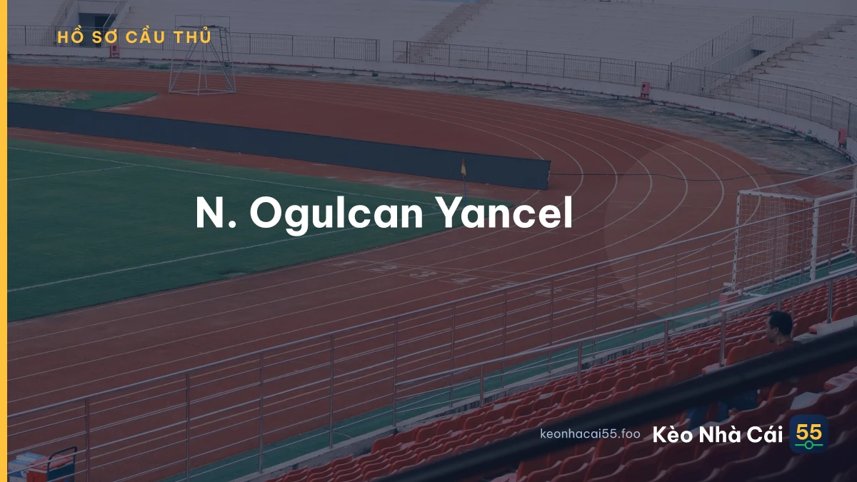 N. Ogulcan Yancel