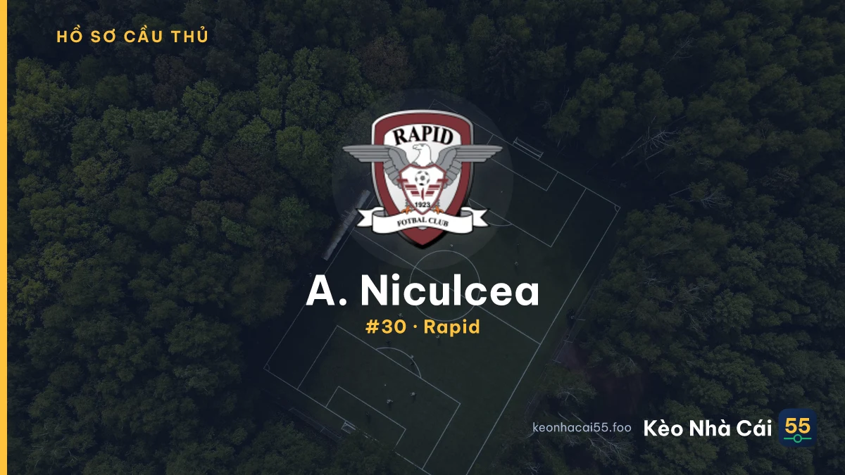 A. Niculcea — Rapid