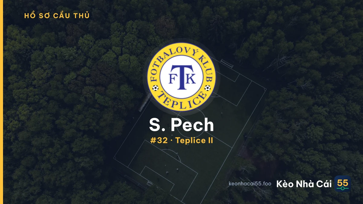 S. Pech — Teplice