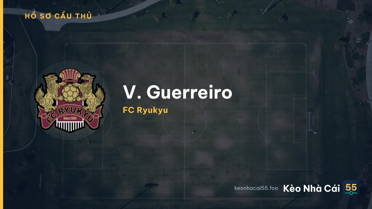 V. Guerreiro