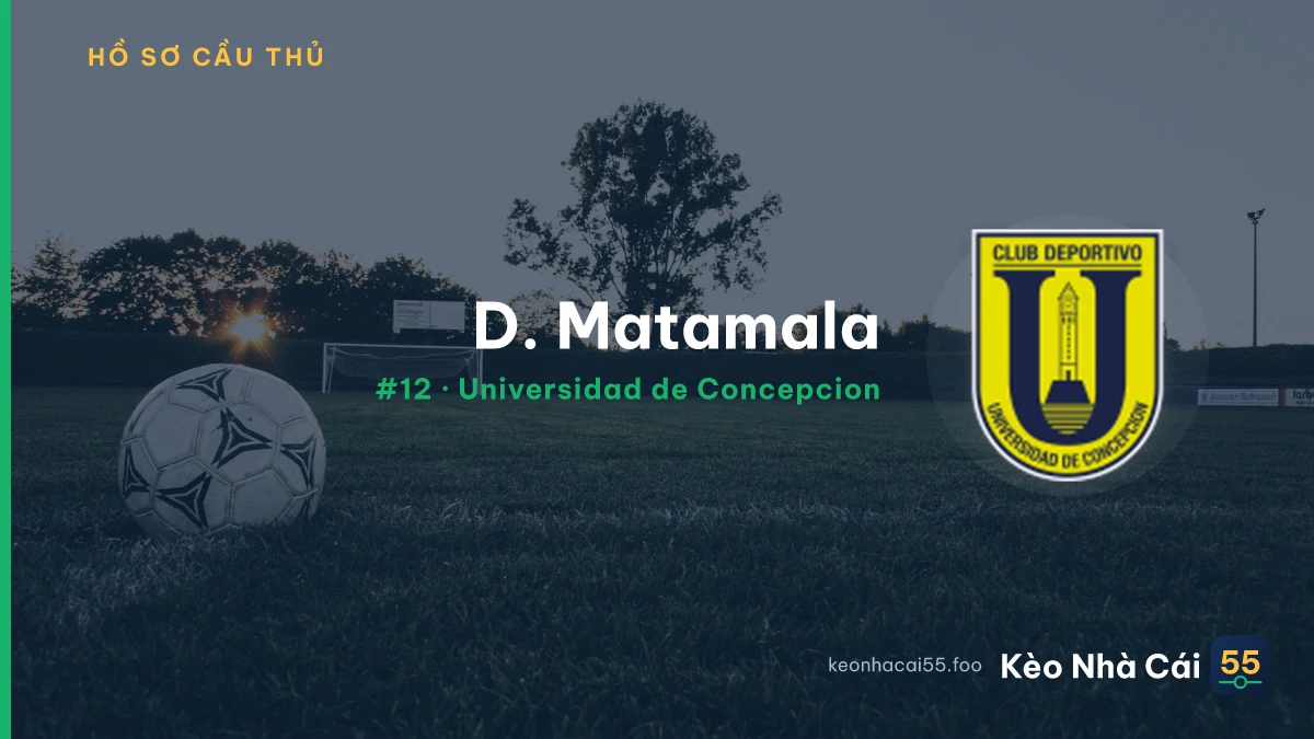 D. Matamala — Universidad de Concepcion