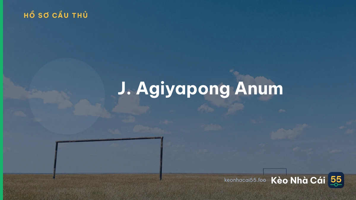 J. Agiyapong Anum