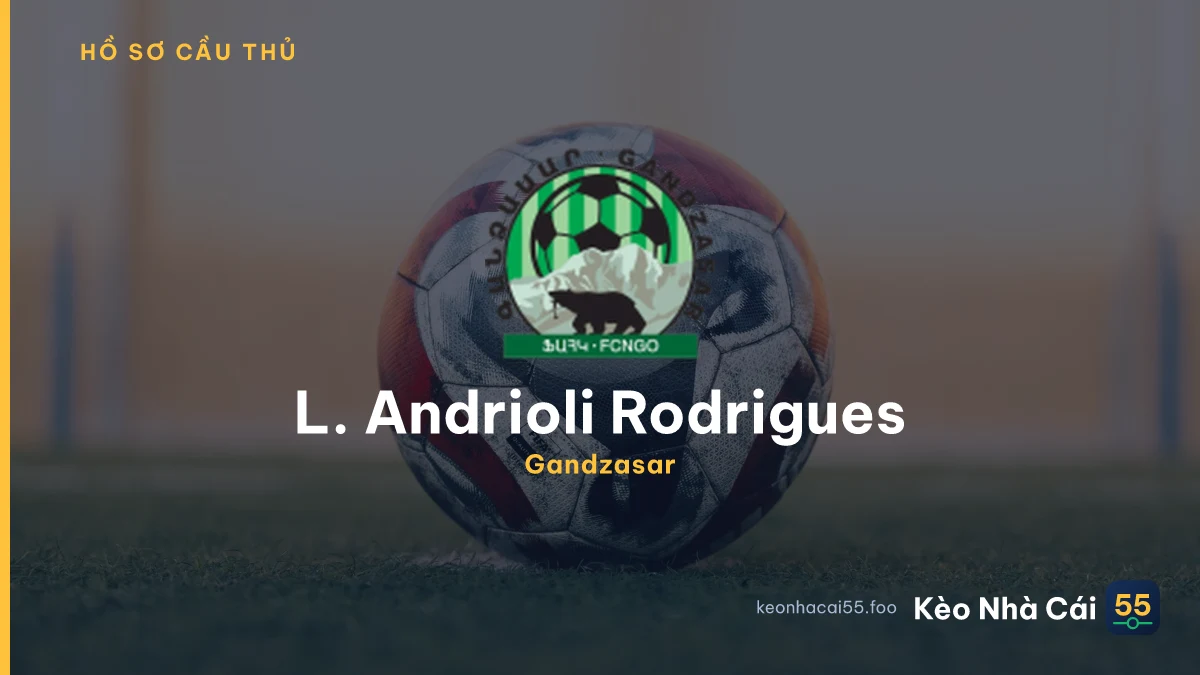 L. Andrioli Rodrigues