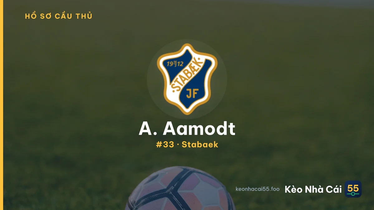 A. Aamodt — Stabaek